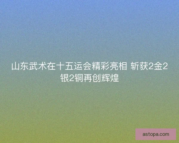 山东武术在十五运会精彩亮相 斩获2金2银2铜再创辉煌