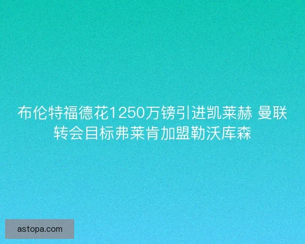 布伦特福德花1250万镑引进凯莱赫 曼联转会目标弗莱肯加盟勒沃库森